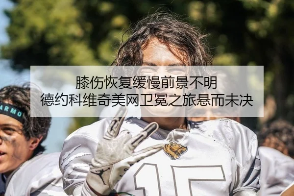 膝伤恢复缓慢前景不明 德约科维奇美网卫冕之旅悬而未决